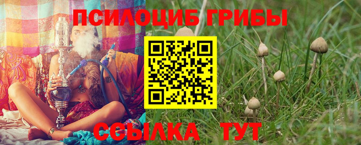 Псилоцибиновые грибы мухоморы Стрежевой